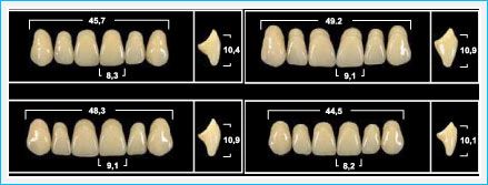 Зубы Yeti фронтальные верхние, цвет B1, 6 шт